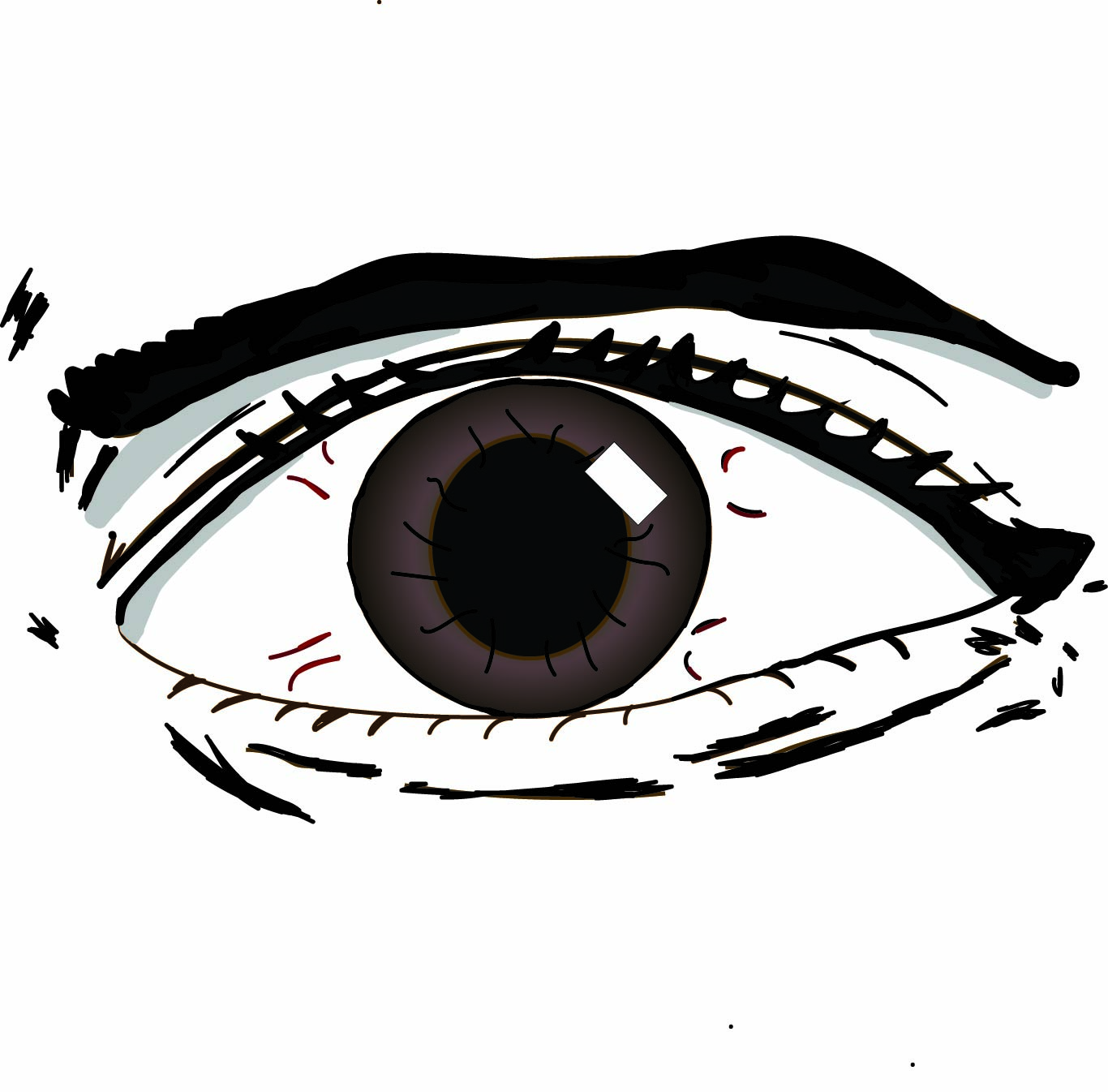 illustrated environment