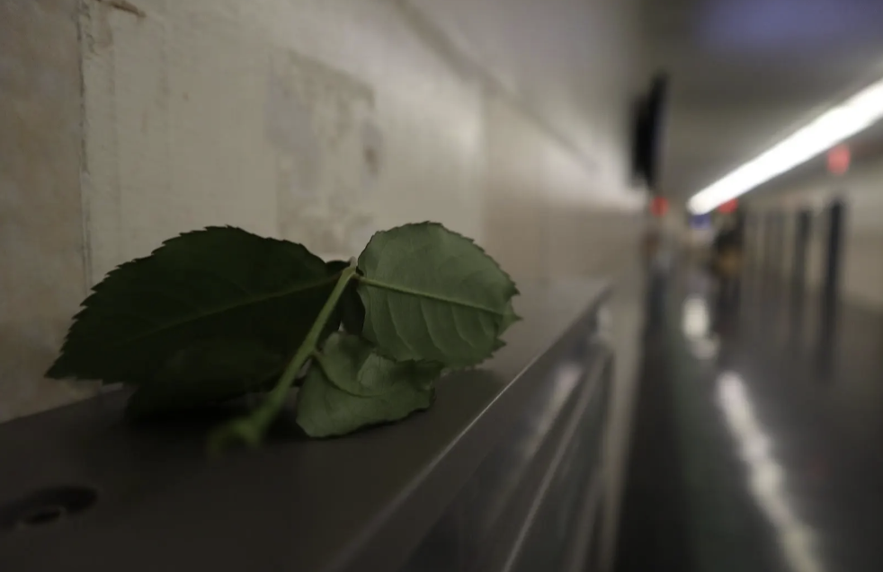 shallow depth image of a leaf on the water fountain